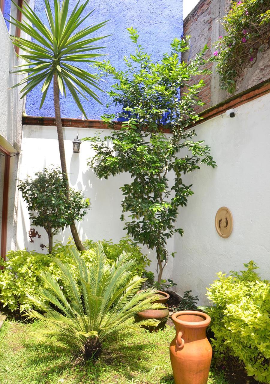 Casa Coyoacan Mexico City Exterior photo